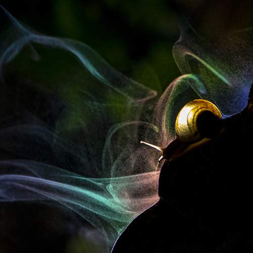 Photo #13216102