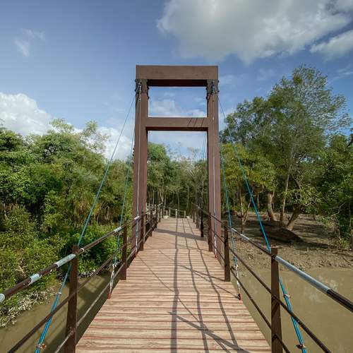 Photo #13216116