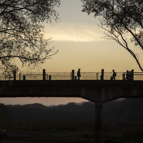 Photo #13216168