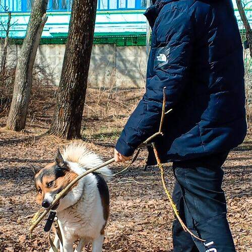 Photo #13216401