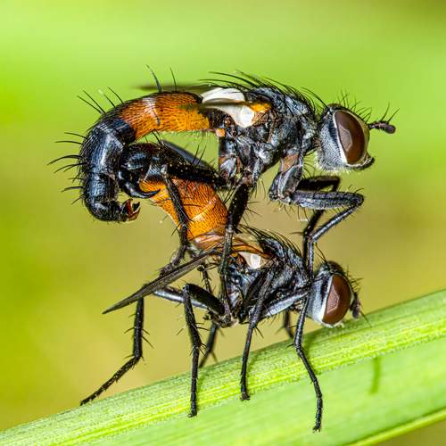 Photo #13216482