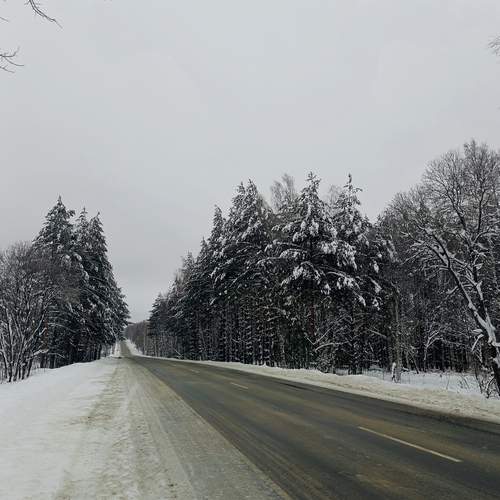 Photo #13216497