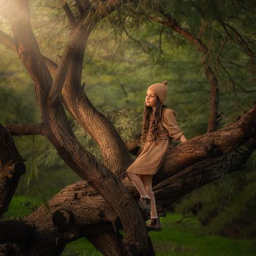 The Magic Tree