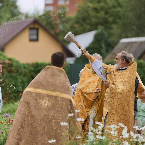 Photo #13216678