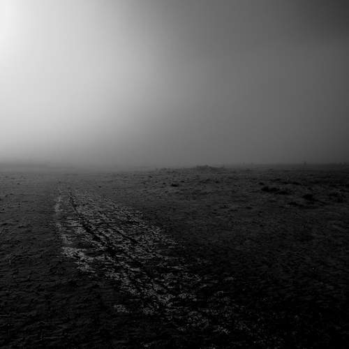 Photo #13216695