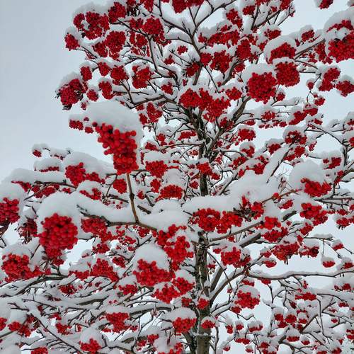 Photo #13216903