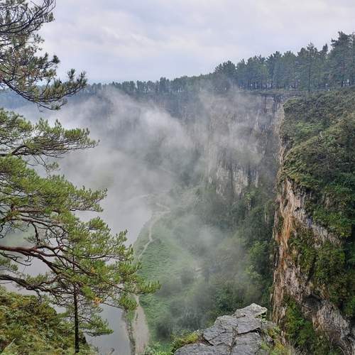Photo #13216981