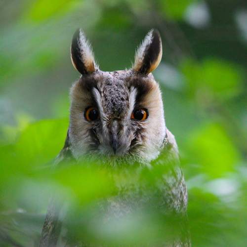 Photo #13216994