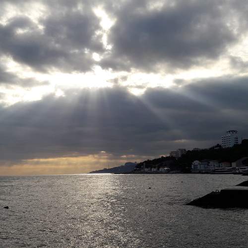 Photo #13217012