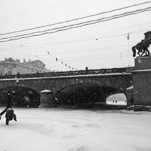 Photo #13217024