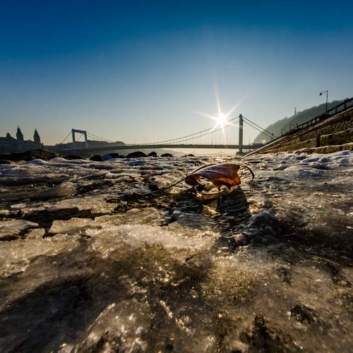 Photo #13217047