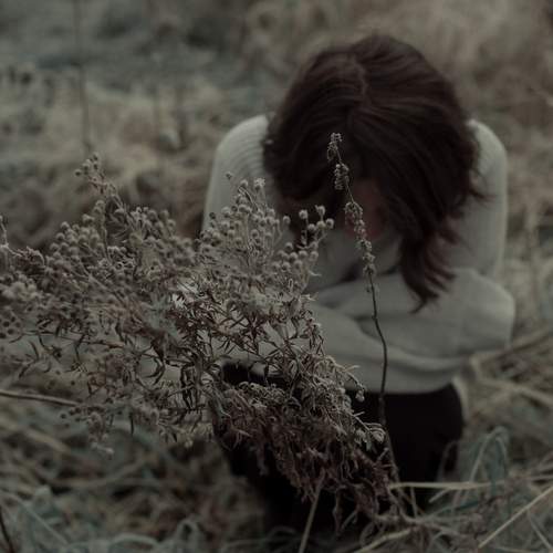 Photo #13217146
