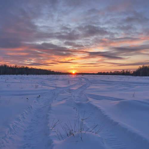 Photo #13217227