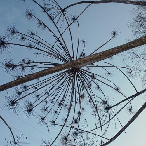 Photo #13217294