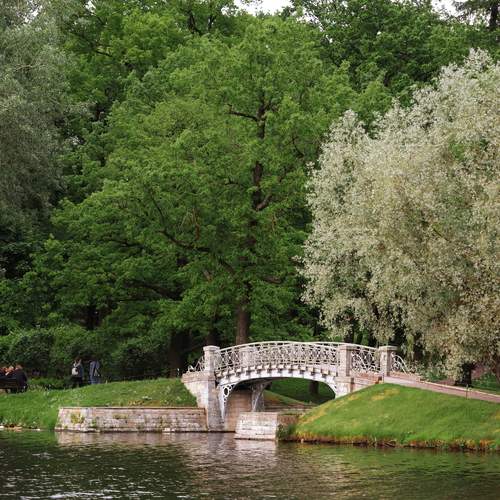 Photo #13217404