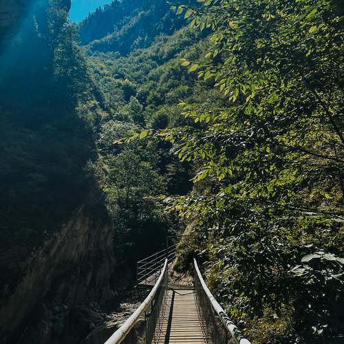 Photo #13217433