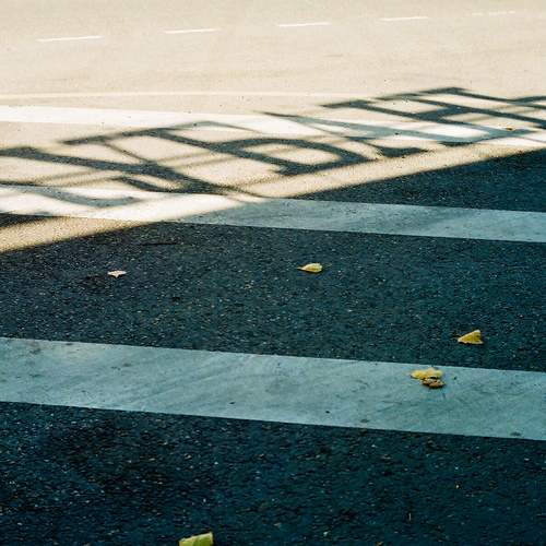 Photo #13217440