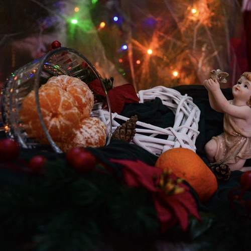 Photo #13217458