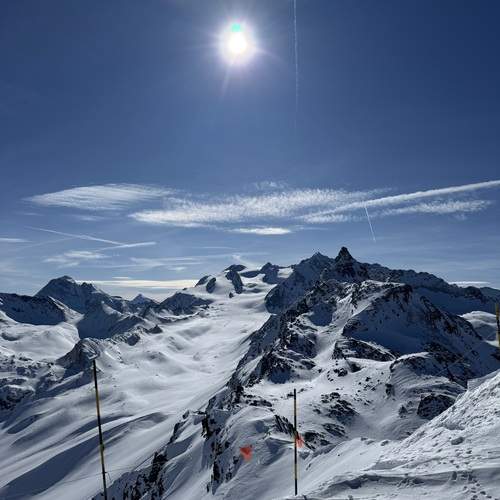 Photo #13217661