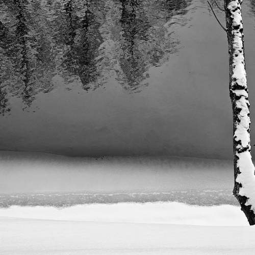 Photo #13217793