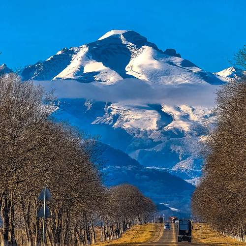 Photo #13217825