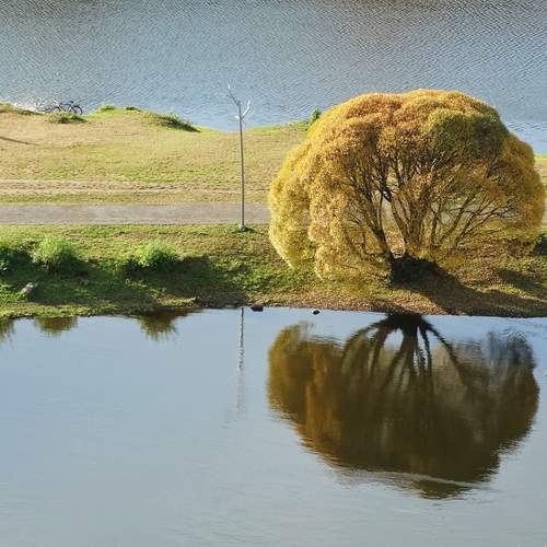 Photo #13217921