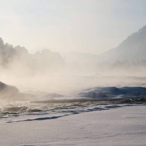 Photo #13217930