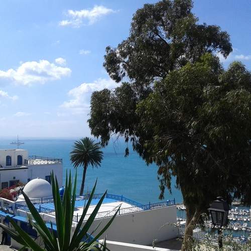 Tunis