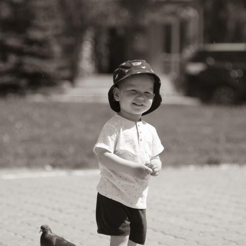 Photo #13218172
