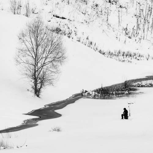 Фотография #13218279