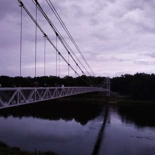 Photo #13218310