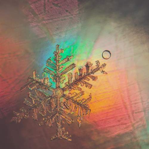 Photo #13218323