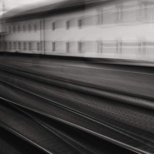 Photo #13218461