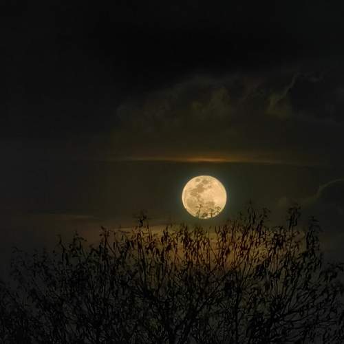 Photo #13218610