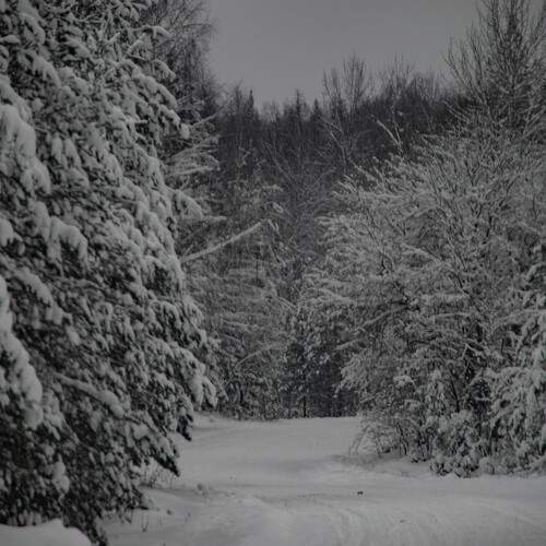Photo #13218658