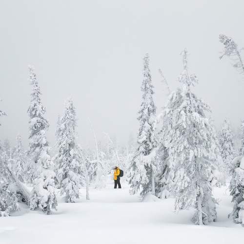 Фотография #13218703