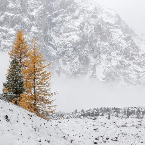 Фотография #13218705