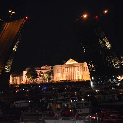 Photo #13218832