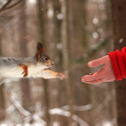 Photo #13218966