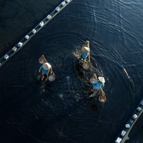 Photo #13218974