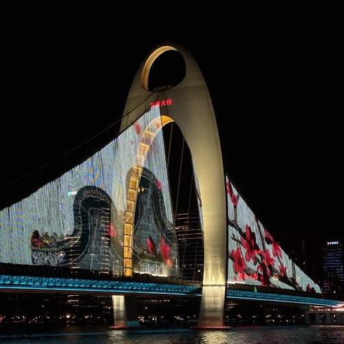 Photo #13218994