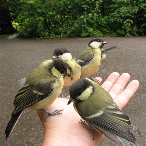 Photo #13219019