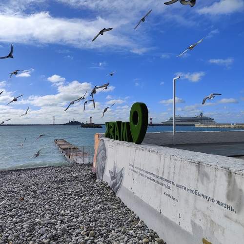 Photo #13219035
