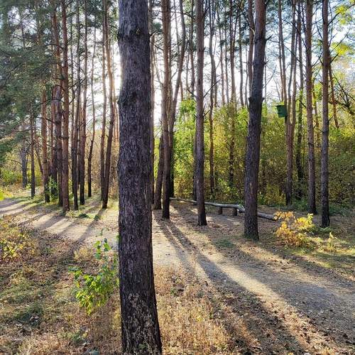 Photo #13219088