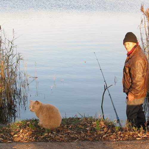 Photo #13219094