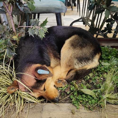 Photo #13219178