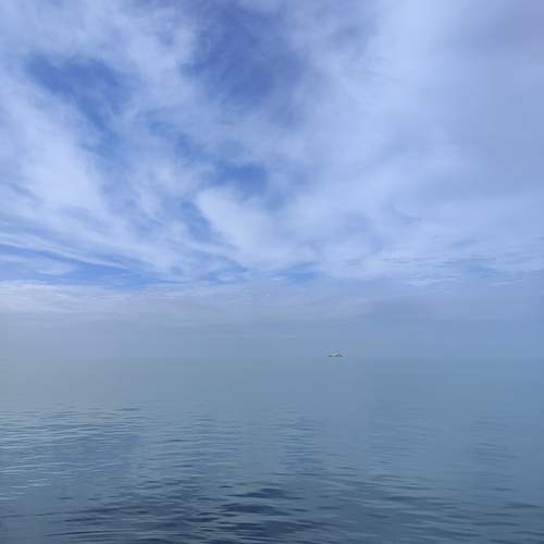 Photo #13219206