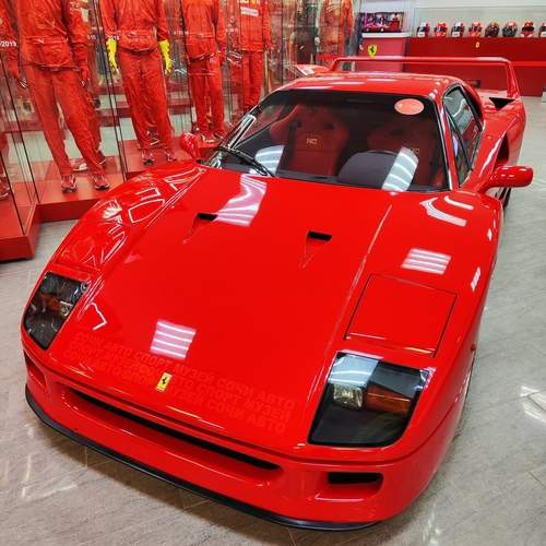 Photo #13219261
