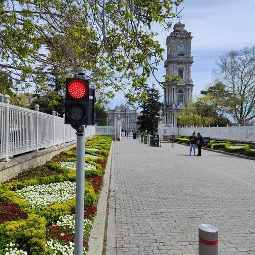 Photo #13219286