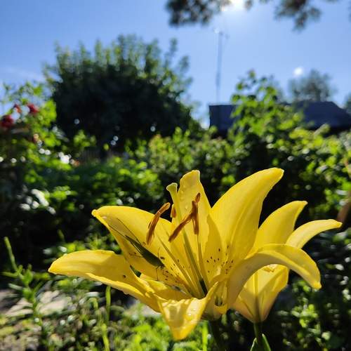 Photo #13219314